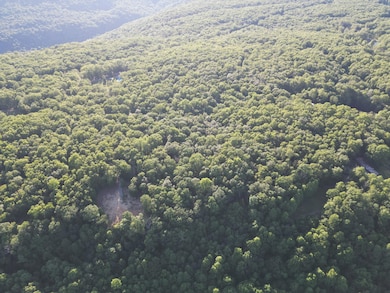 DJI_0448