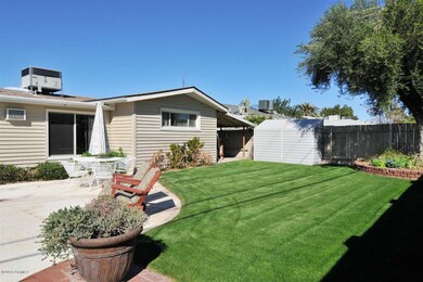BEAUTIFUL BACKYARD
