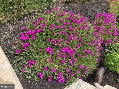 147 E Meadow Dr, Centreville, MD 21617 - photo 3