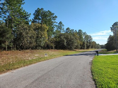 0 SW 60th Terrace unit R10848029, Ocala, FL 34473 - photo 3