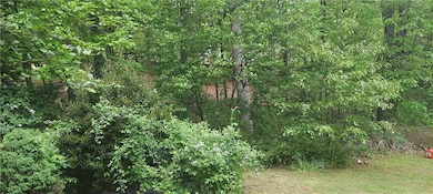 View of back yard