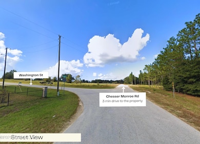 347 Chesser Monroe Rd, Hawthorne, FL 32640 - photo 6