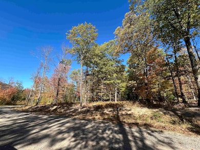 Parcel 1A Bridgeview Ln, Negaunee, MI 49866 - photo 2