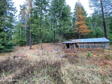 696 Raven Ridge, Sandpoint, ID 83864 - photo 6