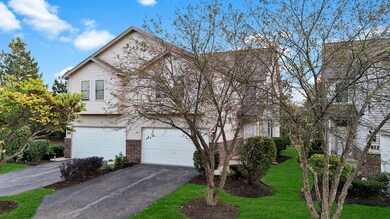 928 Case St, Naperville, IL 60563 - photo 4