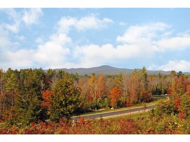 14 Deer Path Ln, Tuftonboro, NH 03816 - photo 4