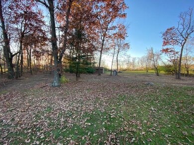 View from the back deck