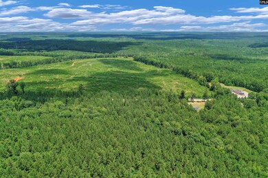 0000 S Carolina 215 unit 9, Jenkinsville, SC 29065 - photo 2