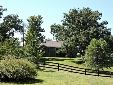 Huge Trees & Fenced Area
