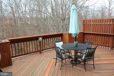 235 Finchingfield Ct, Sterling, VA 20165 - photo 4