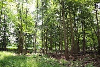 0 Anthony Rd, Fort Edward, NY 12828 - photo 3