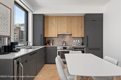 119 Wood Rd unit 206, Snowmass Village, CO 81615 - photo 5