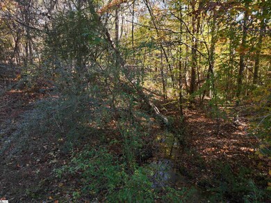 02 Patterson Dr, Laurens, SC 29360 - photo 4