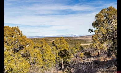 11204 Colorado 141, Egnar, CO 81325 - photo 5