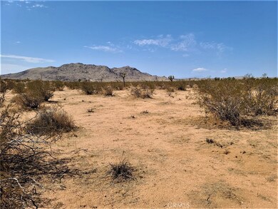 3030 Saddleback Rd, Joshua Tree, CA 92252 - photo 7