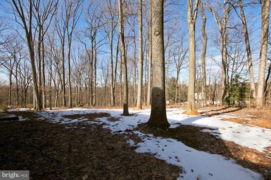 118 Stuart Dr, Winchester, VA 22602 - photo 7