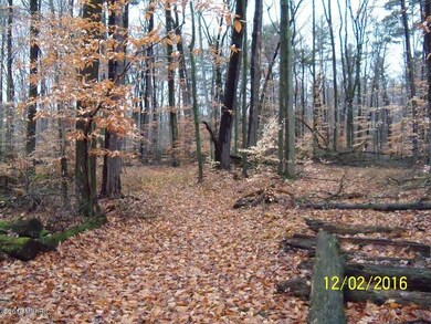 0 4th St unit 16058938, Wayland, MI 49348 - photo 3