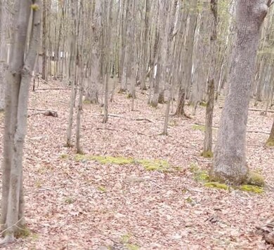 0 Tall Oak Rd unit 408 714035, Tunkhannock Township, PA 18210 - photo 2