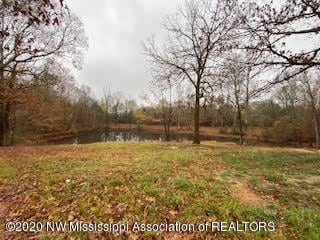 pond on site