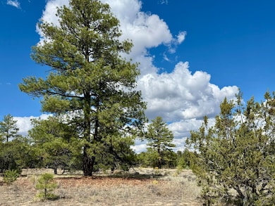 17 Hastings Loop, Ramah, NM 87321 - photo 4