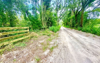 TBD NE Sage Rd, Mayo, FL 32066 - photo 4