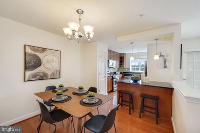 The West Village of Shirlington unit 403, Arlington, VA 22204 - photo 4