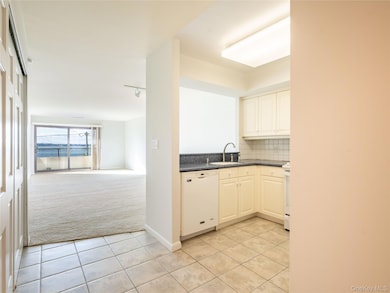 372 Main St unit 105, Port Washington, NY 11050 - photo 3