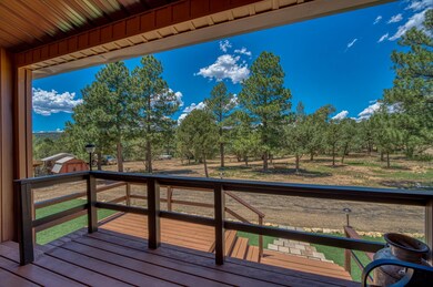 33151 Elk Park Rd, Trinidad, CO 81082 - photo 5