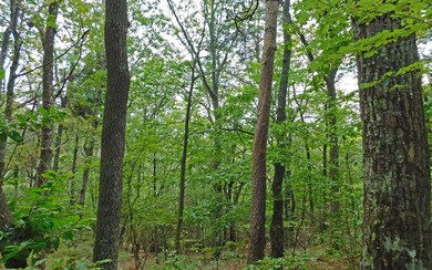 Additional View