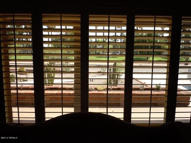 Living room window (south)
