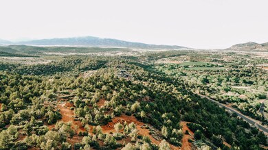 DJI_0233