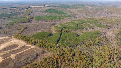 0 Old Highway 18 unit RTC2588370, Stewart, TN 37175 - photo 6