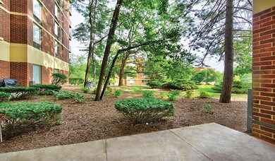 unlisted-address, Lombard, IL 60148 - photo 5