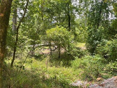 52 Coffee Tree Rd, Broken Bow, OK 74728 - photo 5