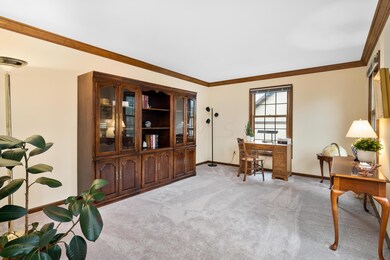 4882 Donegal Cliffs Dr_MLS_6