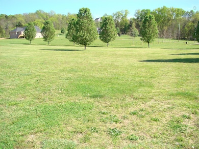 205 Gladys Dr, Shelbyville, TN 37160 - photo 5