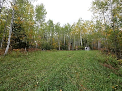 40 acre 5