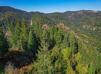 0 Nka Bodie Canyon Rd, Priest River, ID 83856 - photo 5