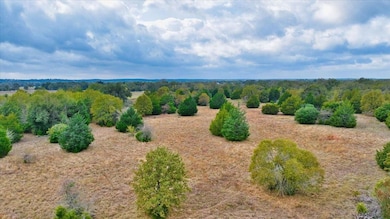 Hwy 77, Rockdale, TX 76567 - photo 7