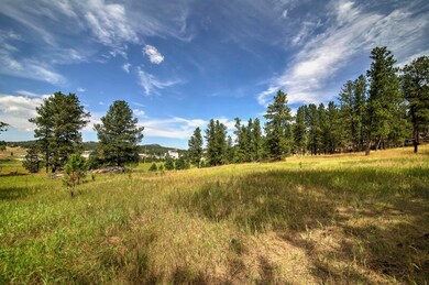 12236 Buffalo Ridge unit 12236 Buffalo Ridge, Custer, SD 57730 - photo 4