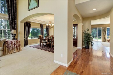 5304 Mining Camp Trail, Parker, CO 80134 - photo 7