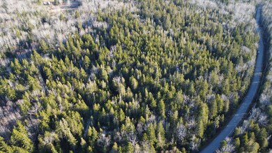 DJI_0655
