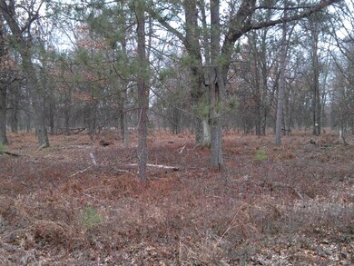 6623 Beaver Rd, Lilley Township, MI 49309 - photo 4