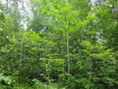 NEAR Hwy 86, Tomahawk, WI 54487 - photo 4