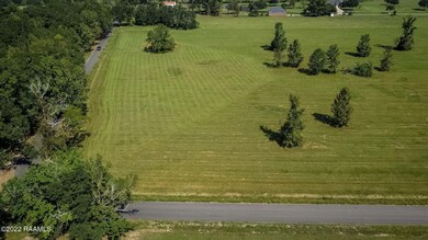 Tbd Begnaud Rd unit 7, Sunset, LA 70584 - photo 6