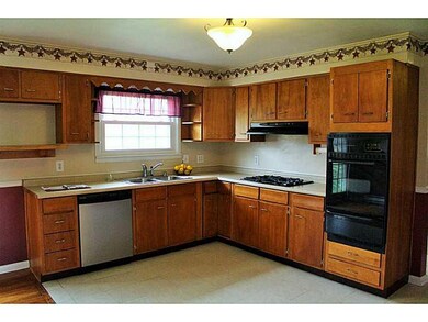 Cafeteria/Kitchen. Well-organized space for the co