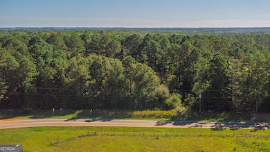 0 Rest Haven Rd unit 10652109, Yatesville, GA 31097 - photo 6