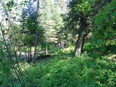 Your Own Private Huckleberry Patch