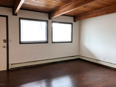 Living room windows