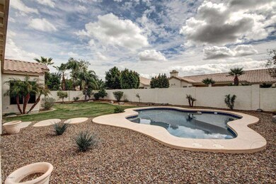 Pool and Backyard